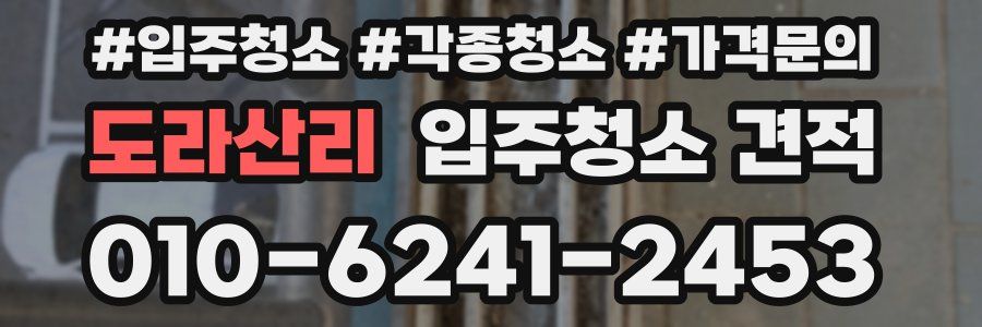 도라산리 입주청소 견적