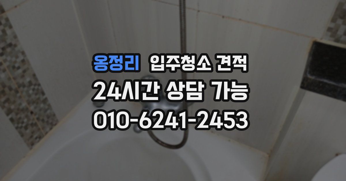 옹정리 입주청소 견적
