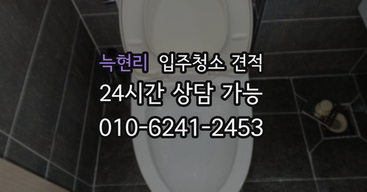늑현리 입주청소 견적