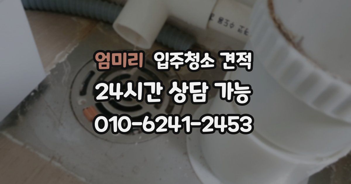 엄미리 입주청소 견적