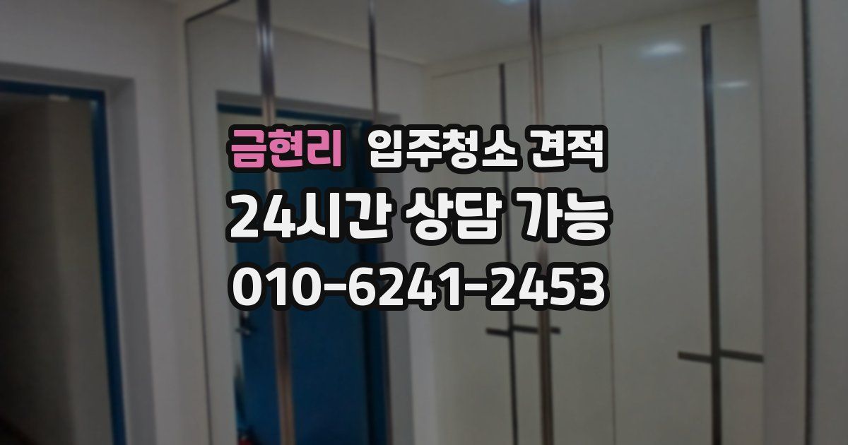 금현리 입주청소 견적
