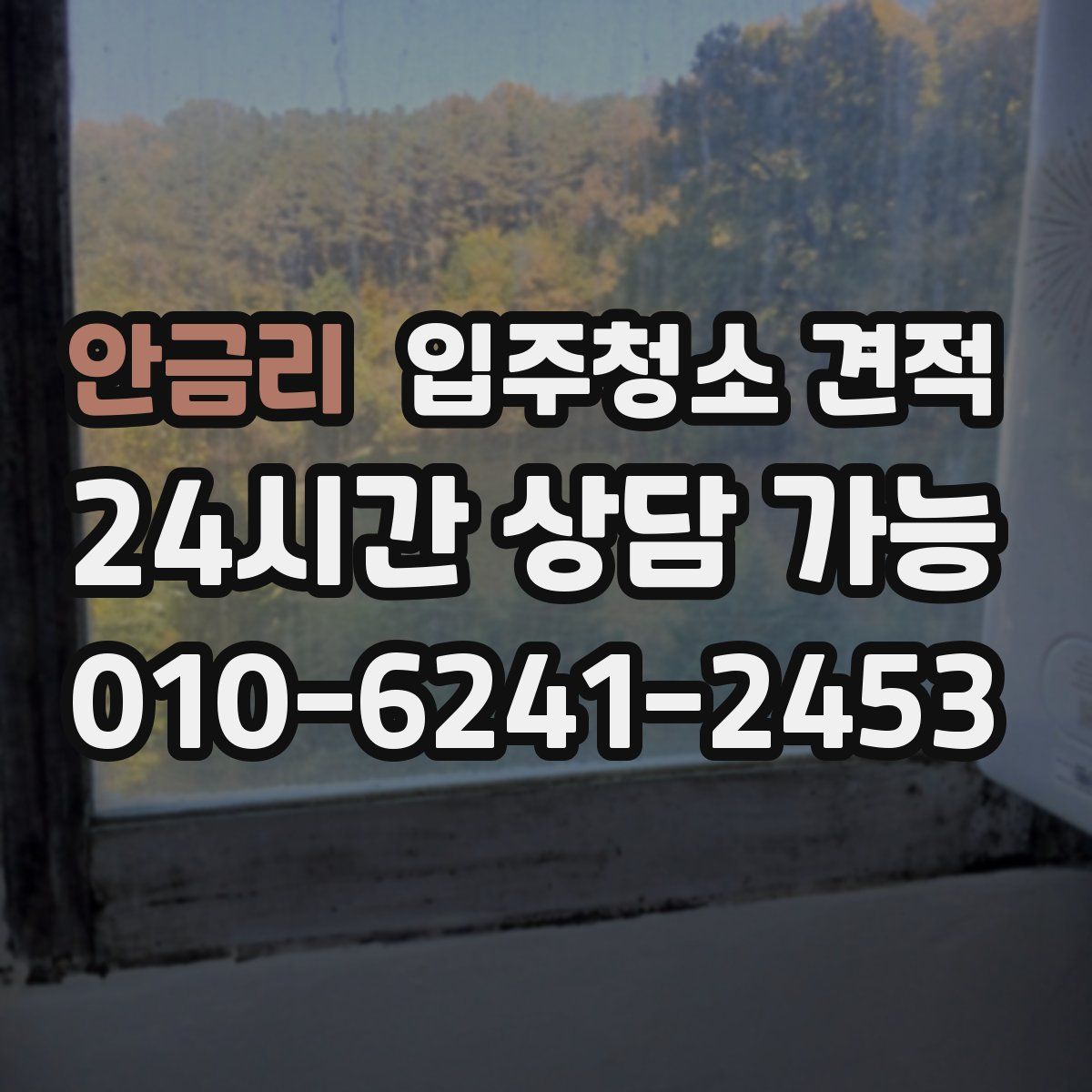 안금리 입주청소 견적