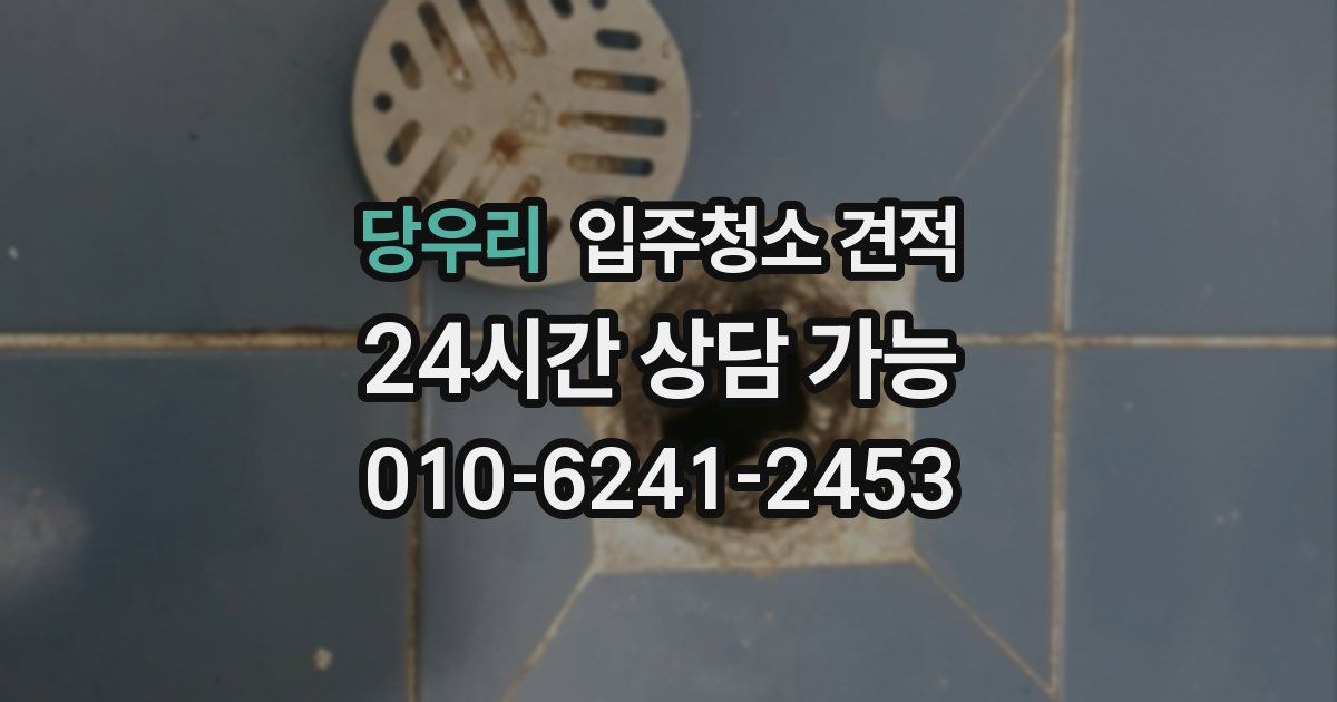 당우리 입주청소 견적