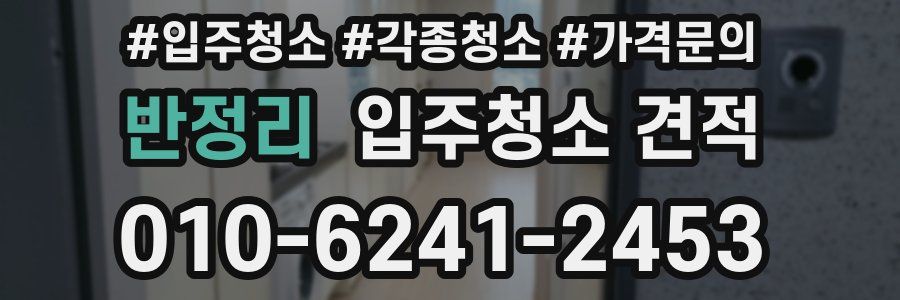 반정리 입주청소 견적