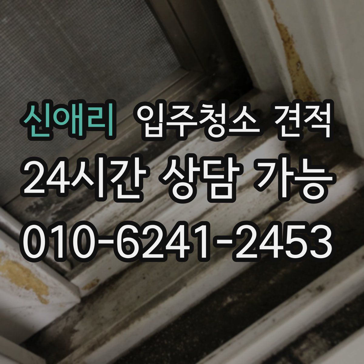 신애리 입주청소 견적
