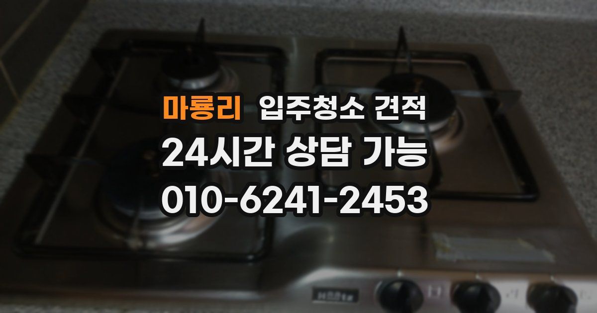마룡리 입주청소 견적