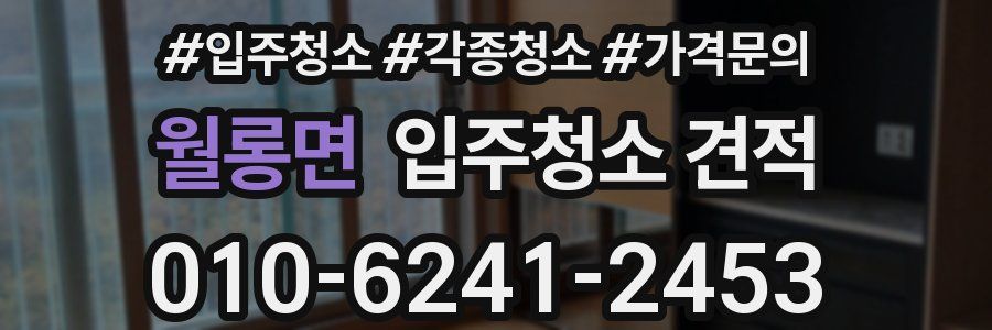 월롱면 입주청소 견적