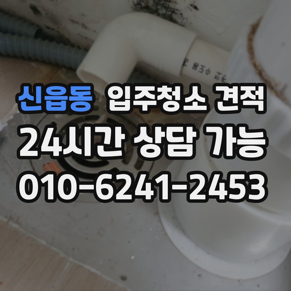 신읍동 입주청소 견적