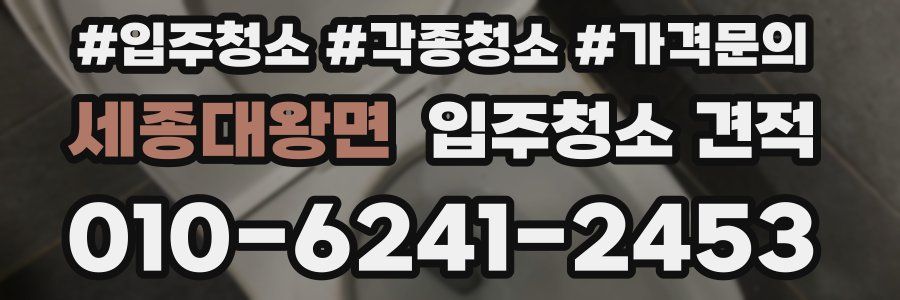 세종대왕면 입주청소 견적