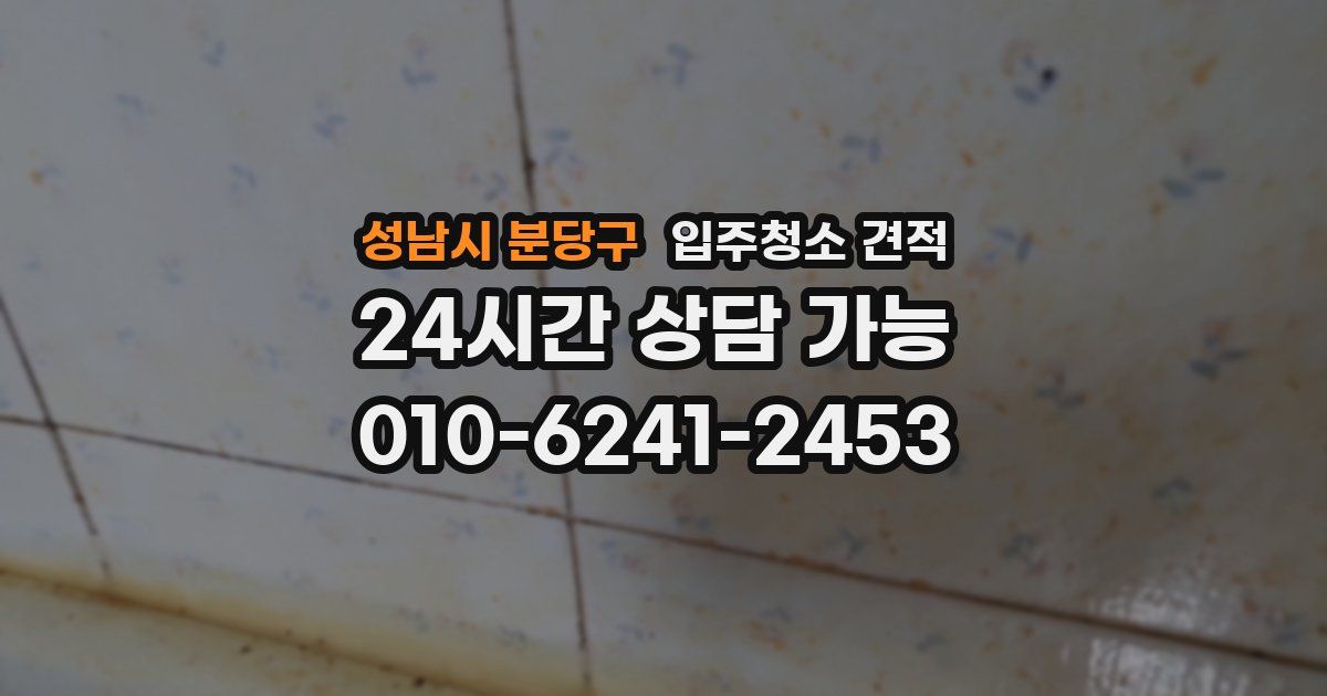 성남시 분당구 입주청소 견적