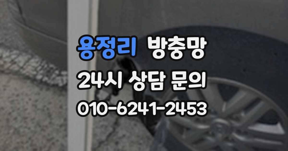 용정리 방충망