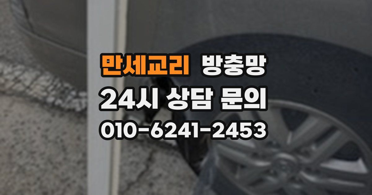 만세교리 방충망