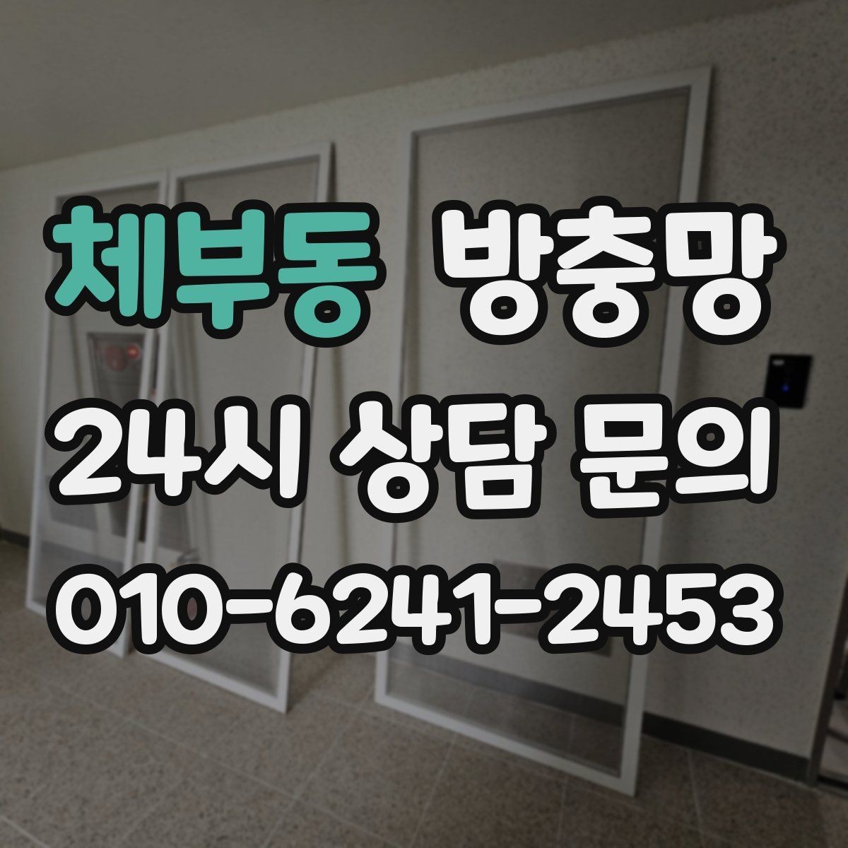체부동 방충망 입주 전 교체하면 가장 편한 이유