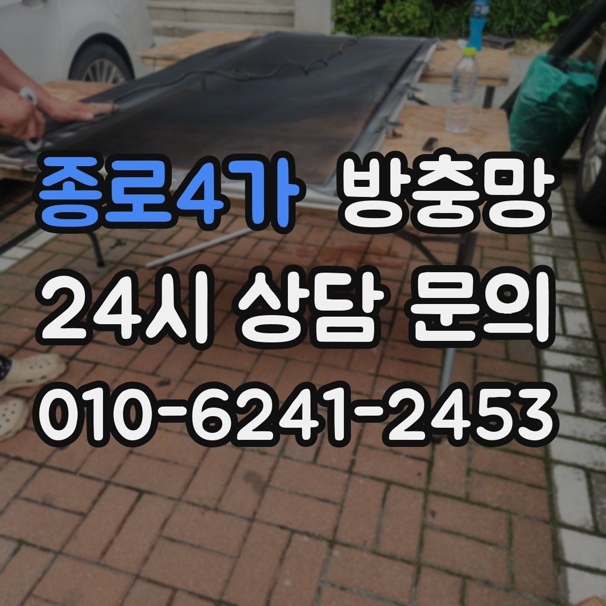종로4가 방충망 작은 구멍 하나가 유입 통로가 되는 이유