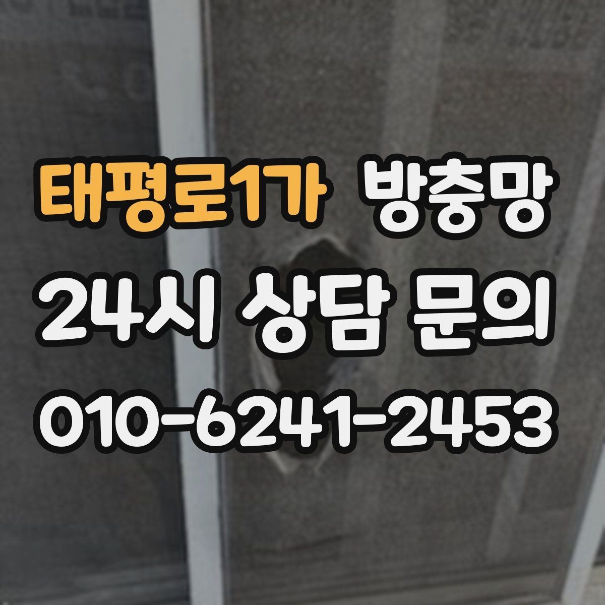 태평로1가 방충망 날벌레가 창가에 계속 붙는 이유와 해결