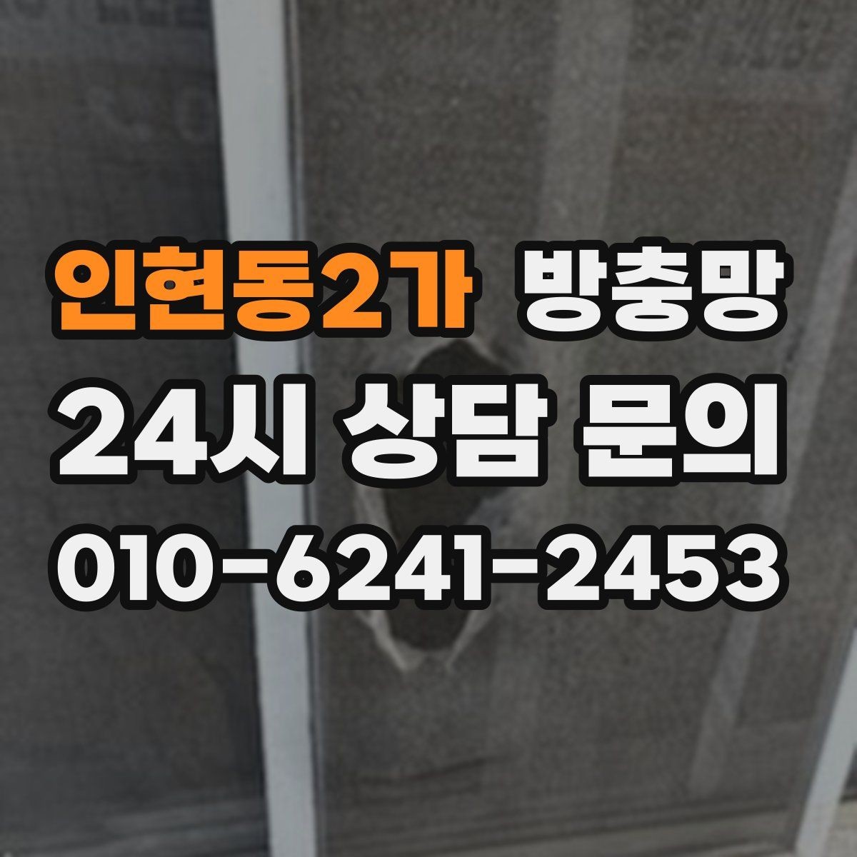 인현동2가 방충망 환기와 벌레 차단을 동시에 해결하기