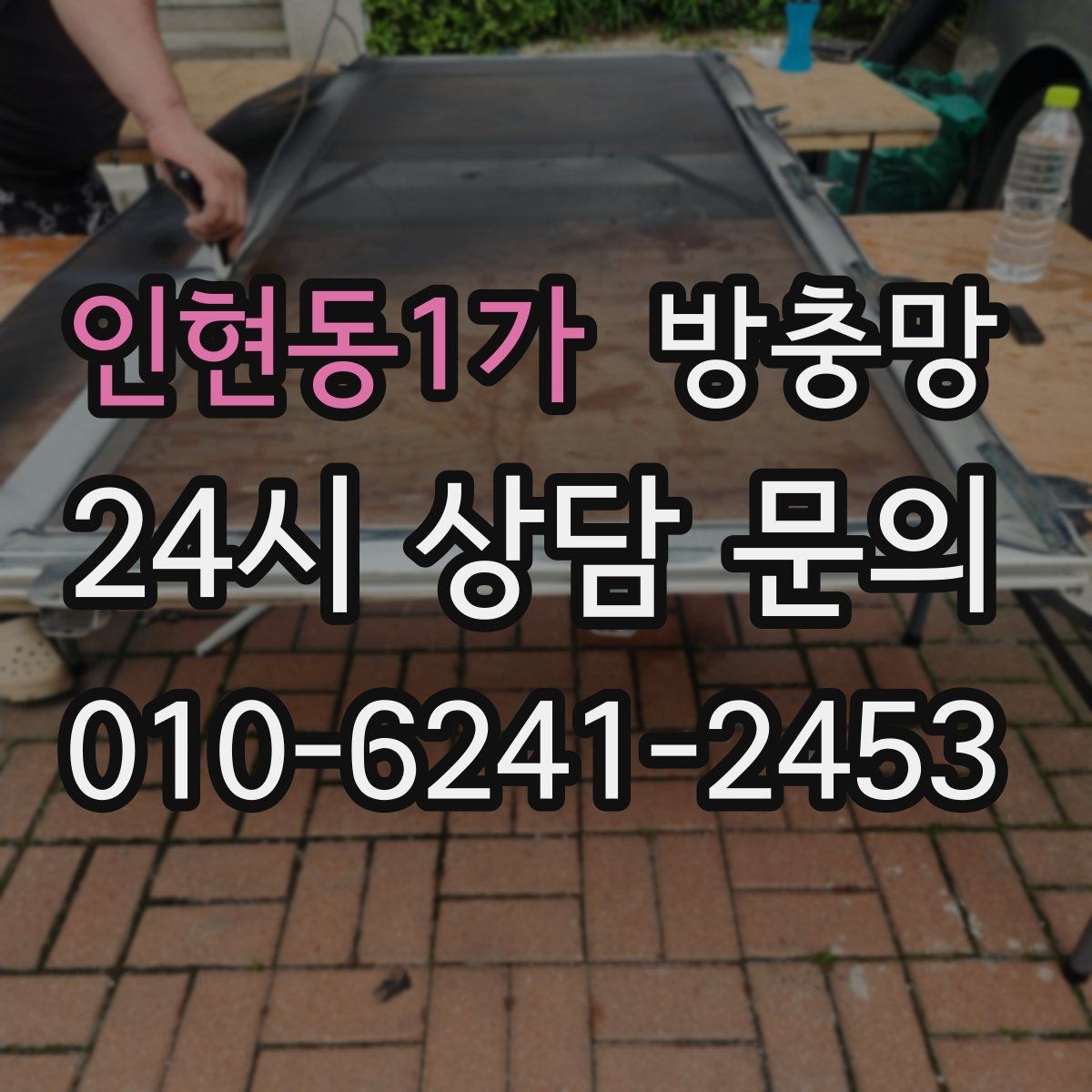 인현동1가 방충망 청소 후 더 벌레가 들어오는 이유는 무엇일까