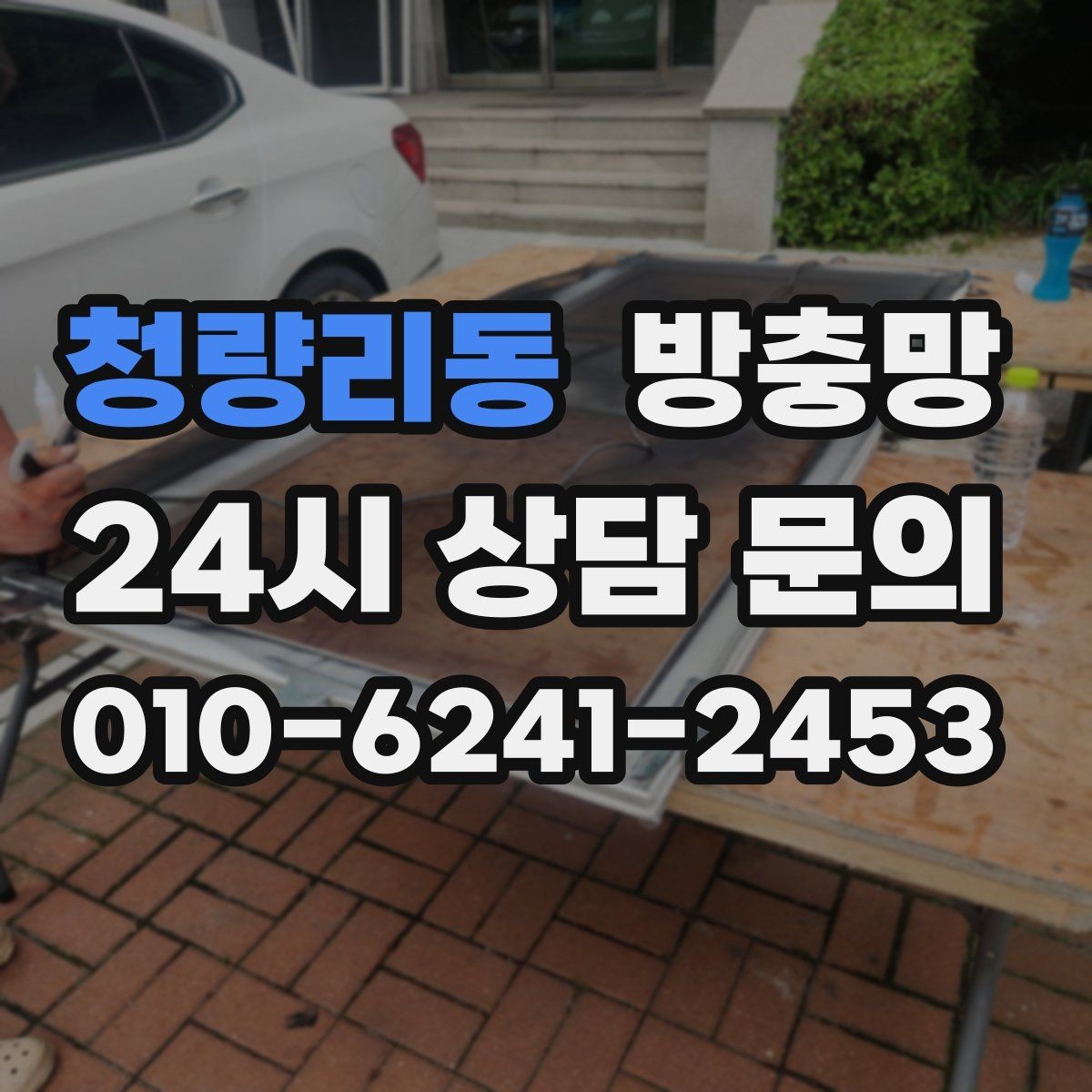 청량리동 방충망 날벌레가 창가에 계속 붙는 이유와 해결
