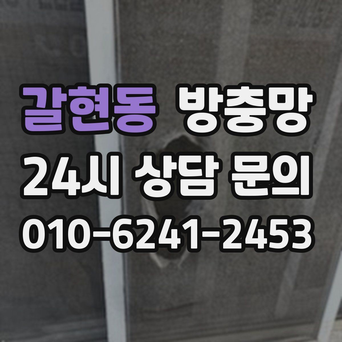 갈현동 방충망 부분 보수로 해결되는 경우와 아닌 경우