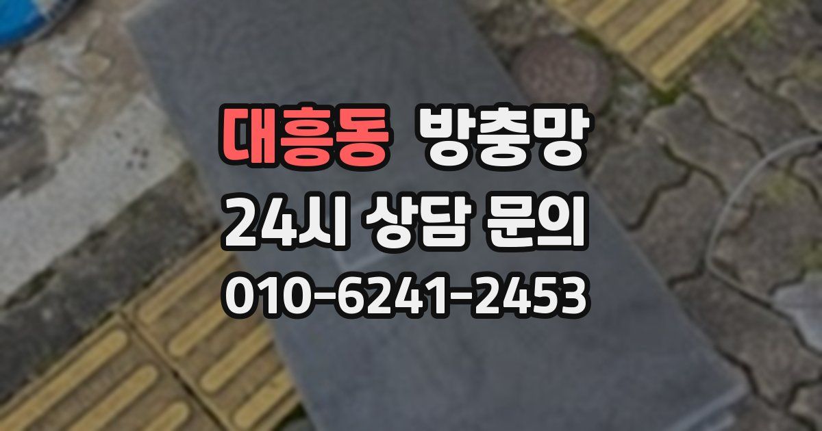 대흥동 방충망