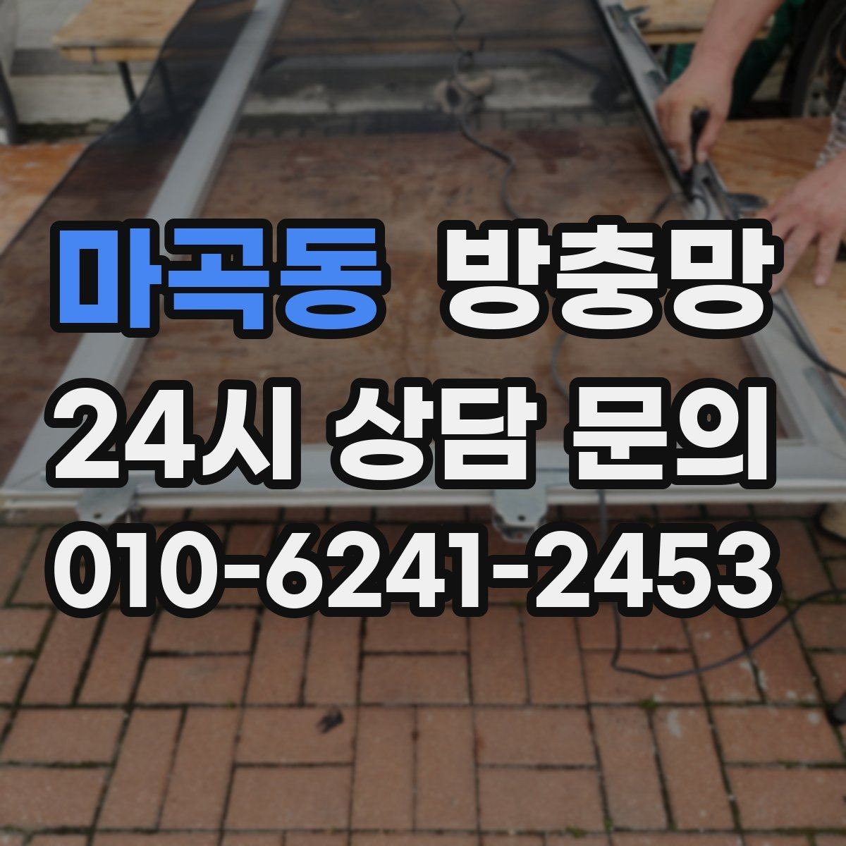 마곡동 방충망 창가에 벌레가 몰릴 때 점검해야 할 것