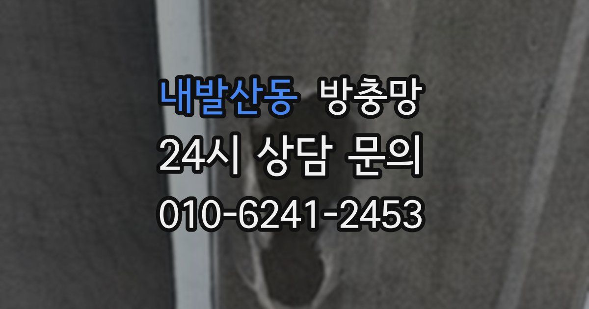 내발산동 방충망