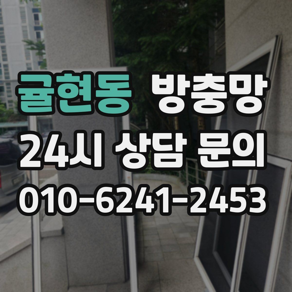 귤현동 방충망 고양이 있는 집은 스크래치 대비가 필요해요