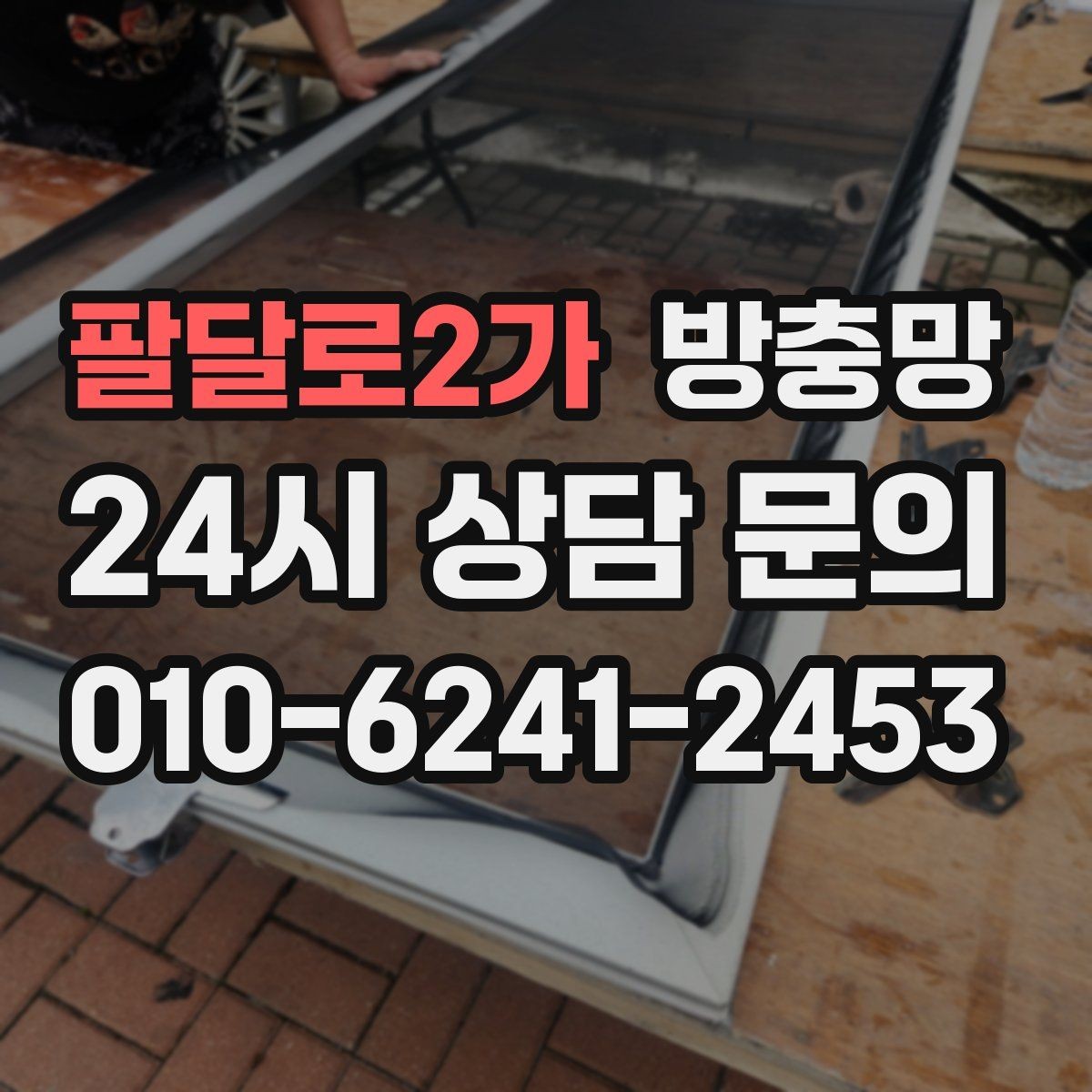 팔달로2가 방충망 찢어진 채로 환기하면 벌레가 몰립니다