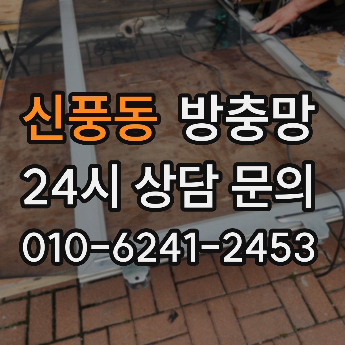 신풍동 방충망 주변에 나무가 많으면 유입이 늘 수 있어요