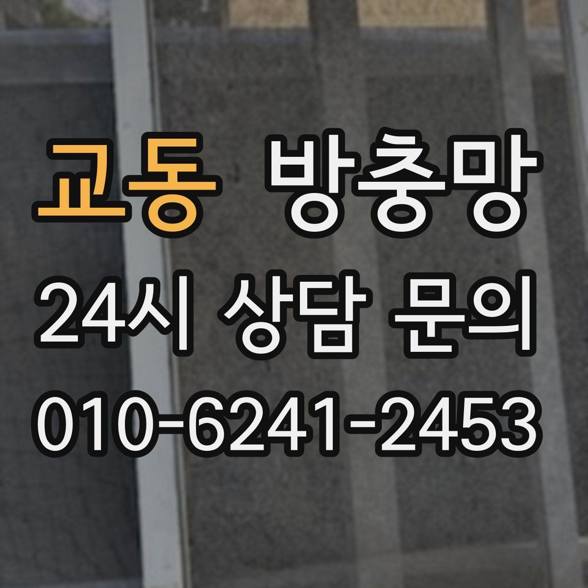 교동 방충망 찢어진 채 방치하면 생기는 문제들