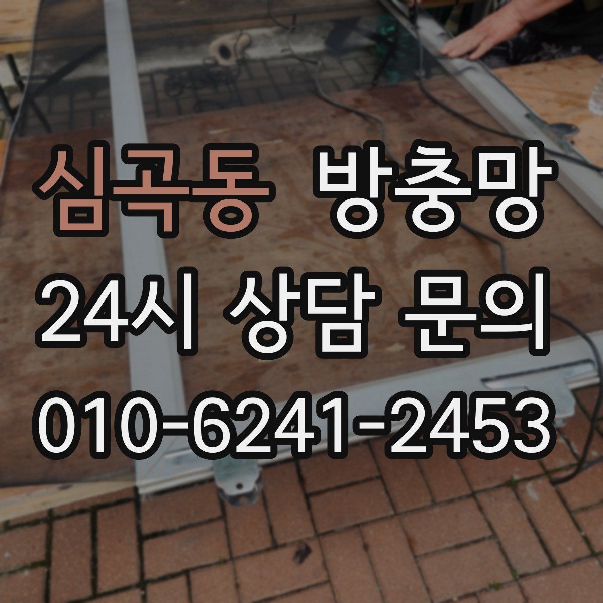 심곡동 방충망 날벌레가 창가에 계속 붙는 이유와 해결