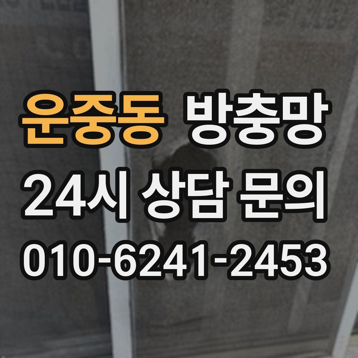 운중동 방충망 문풍지로 해결될 때와 안 될 때