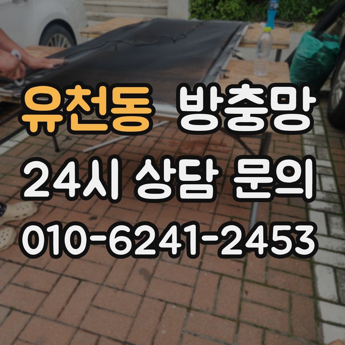 유천동 방충망 벌레가 줄어도 방치하면 다시 늘어납니다