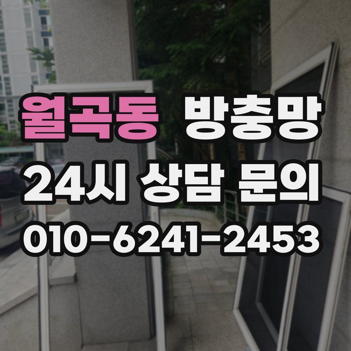 월곡동 방충망 거실 창은 면적이 커서 더 꼼꼼히 봐야 합니다