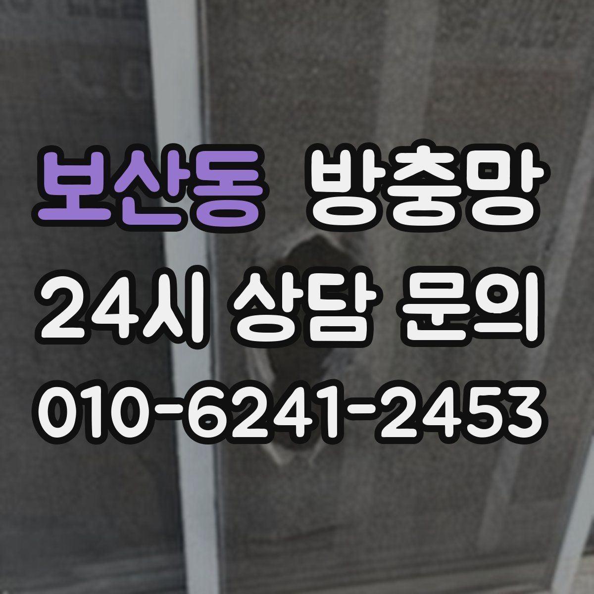 보산동 방충망 작은 구멍 하나가 유입 통로가 되는 이유