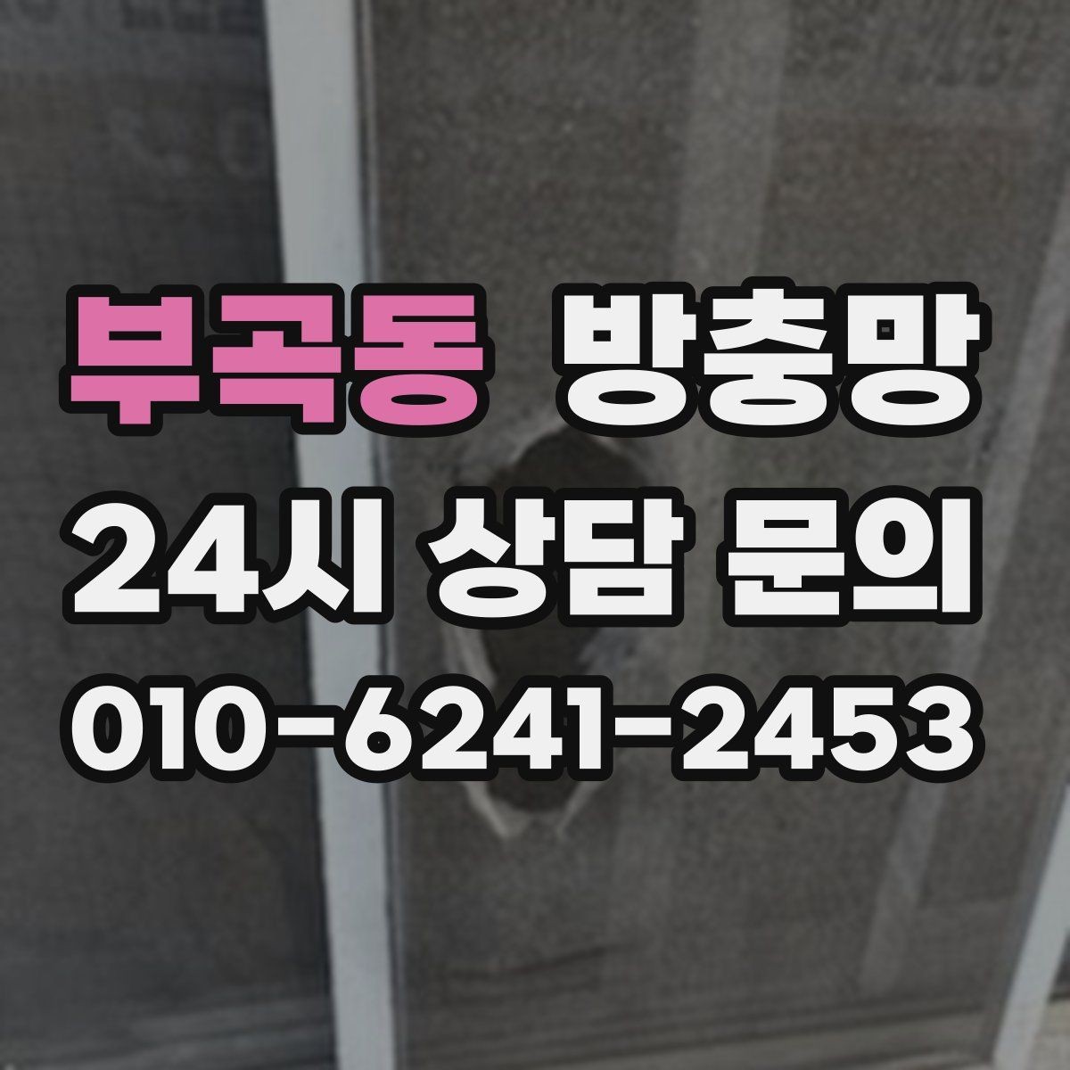 부곡동 방충망 찢어진 곳이 보이면 교체가 필요한 신호
