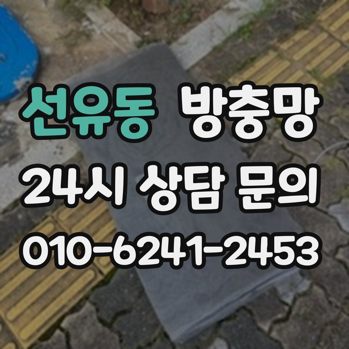 선유동 방충망 교체로 생활 위생과 쾌적함을 되찾는 방법