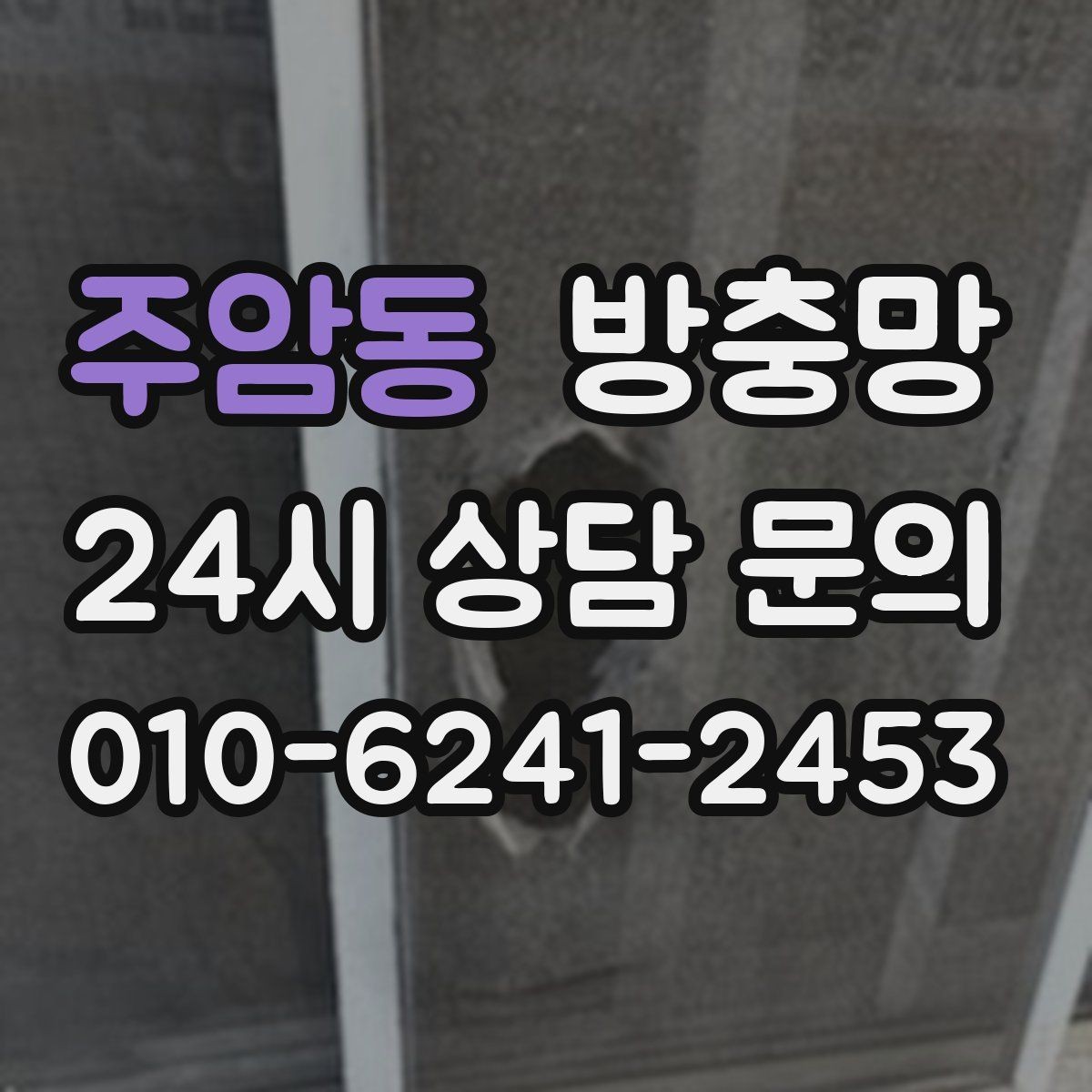 주암동 방충망 불 켜면 벌레가 몰리는 집은 이렇게 관리