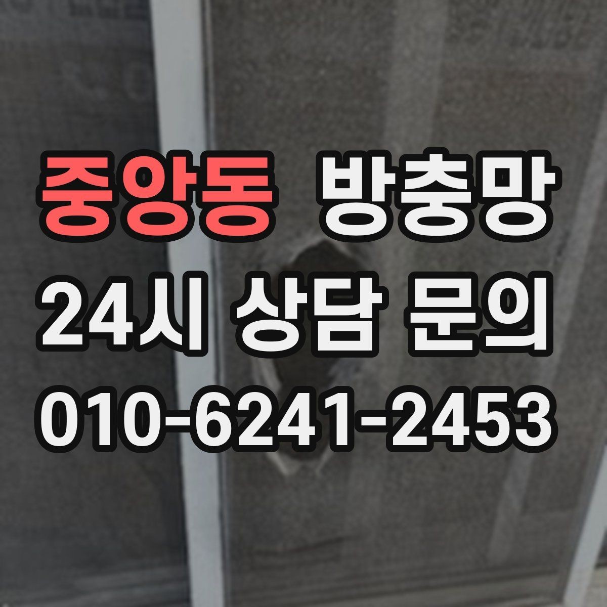 중앙동 방충망 모서리에서부터 찢어지는 이유를 아시나요