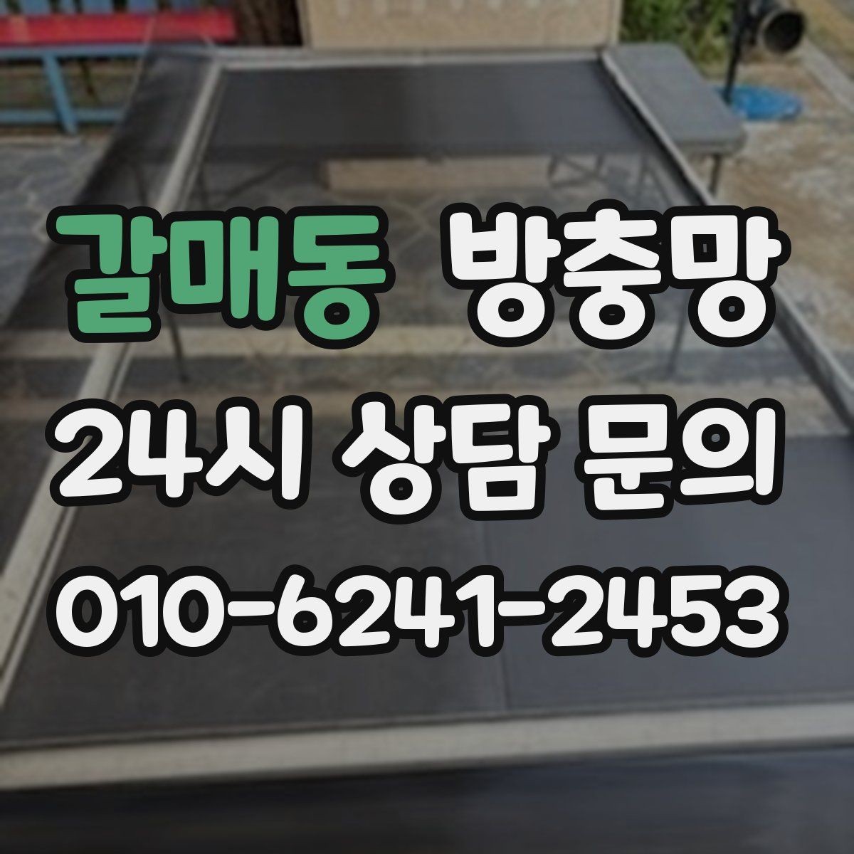 갈매동 방충망 다용도실 창에서 벌레가 들어오는 이유