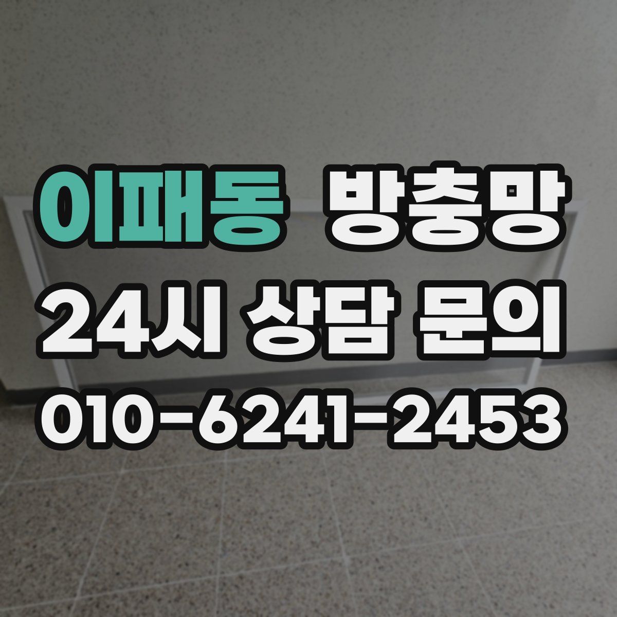 이패동 방충망