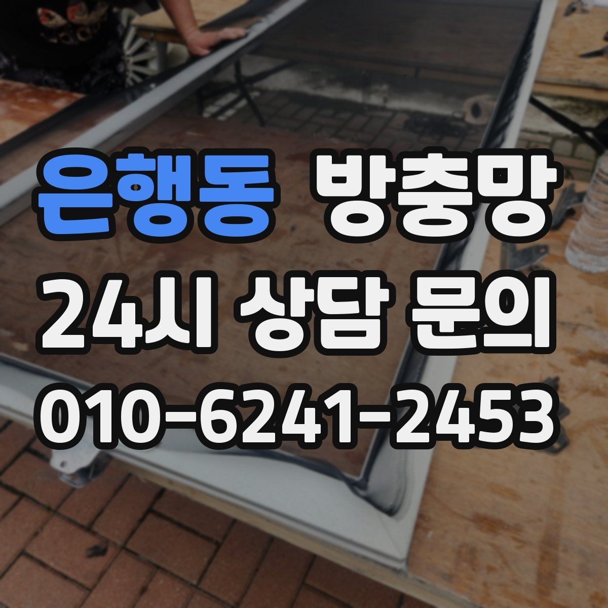 은행동 방충망 겨울에 방치했다가 봄에 문제 터지는 이유