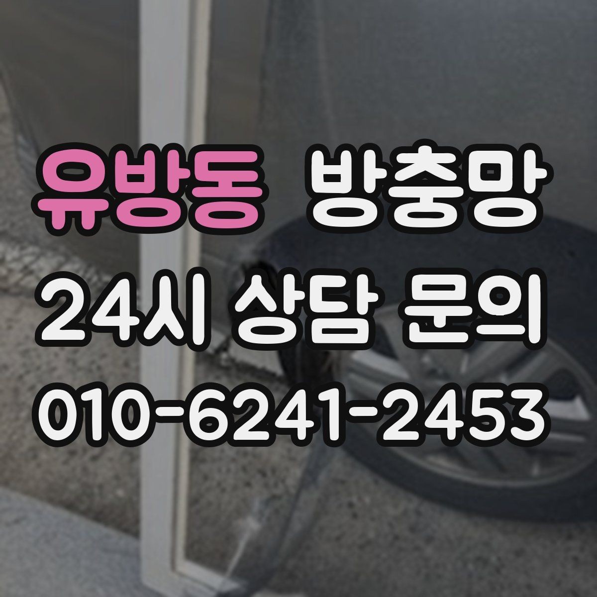 유방동 방충망 솔로 세게 문지르면 생기는 손상
