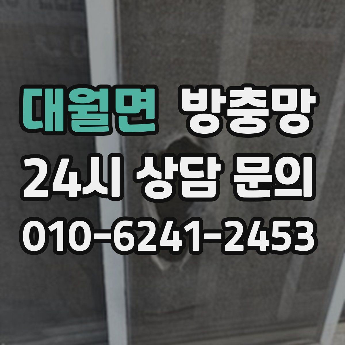 대월면 방충망 주방 창문에서 날벌레가 유입될 때