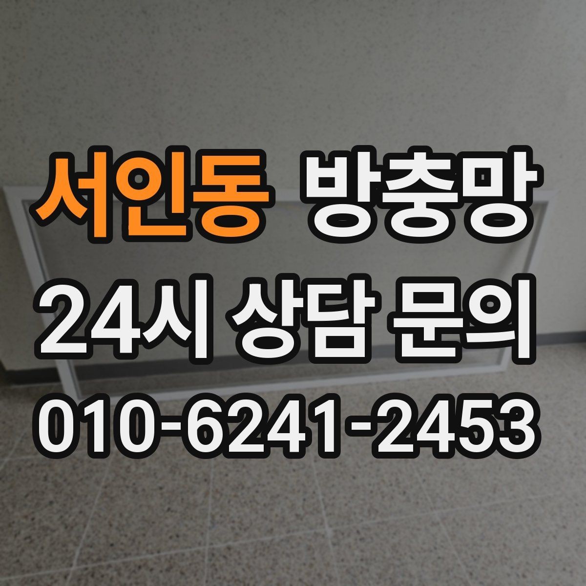 서인동 방충망 주방 쓰레기 때문에 초파리가 늘었다면