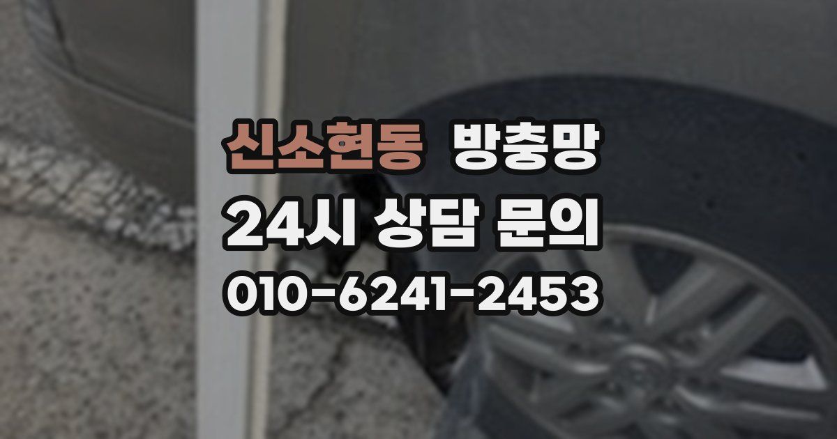 신소현동 방충망