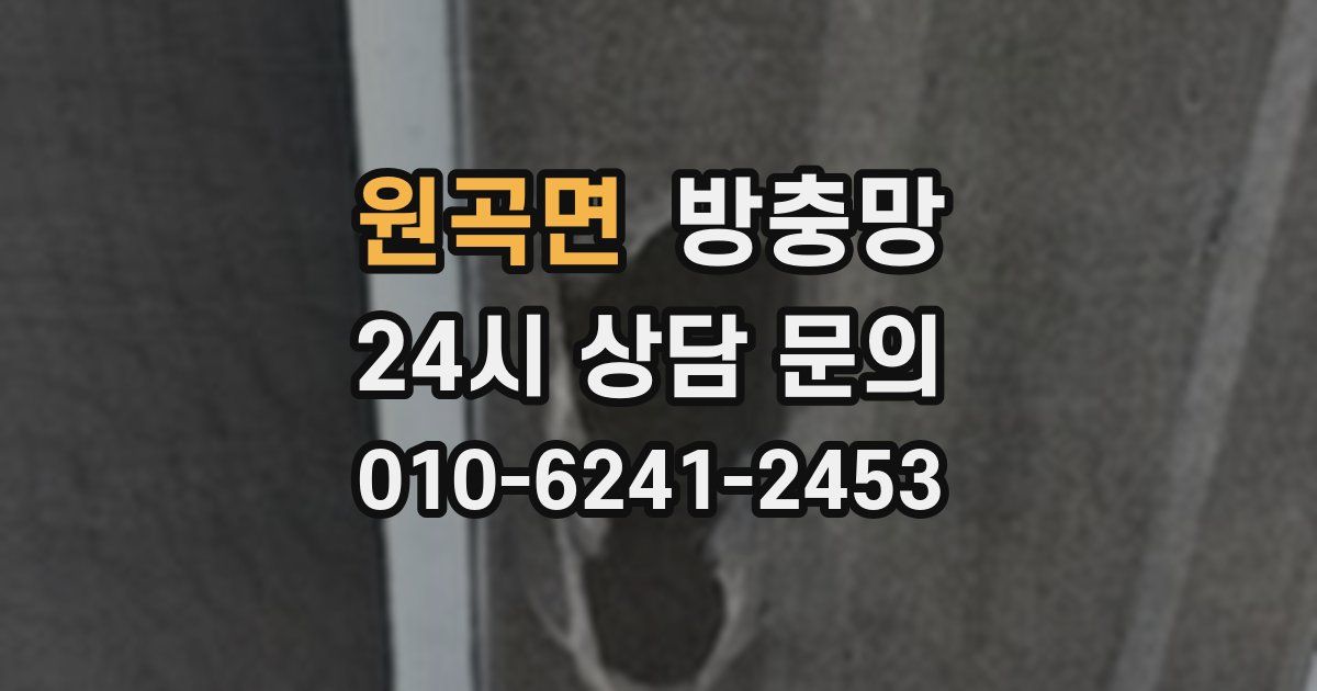 원곡면 방충망