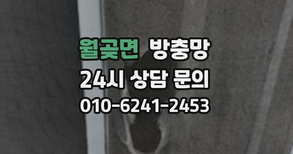 월곶면 방충망