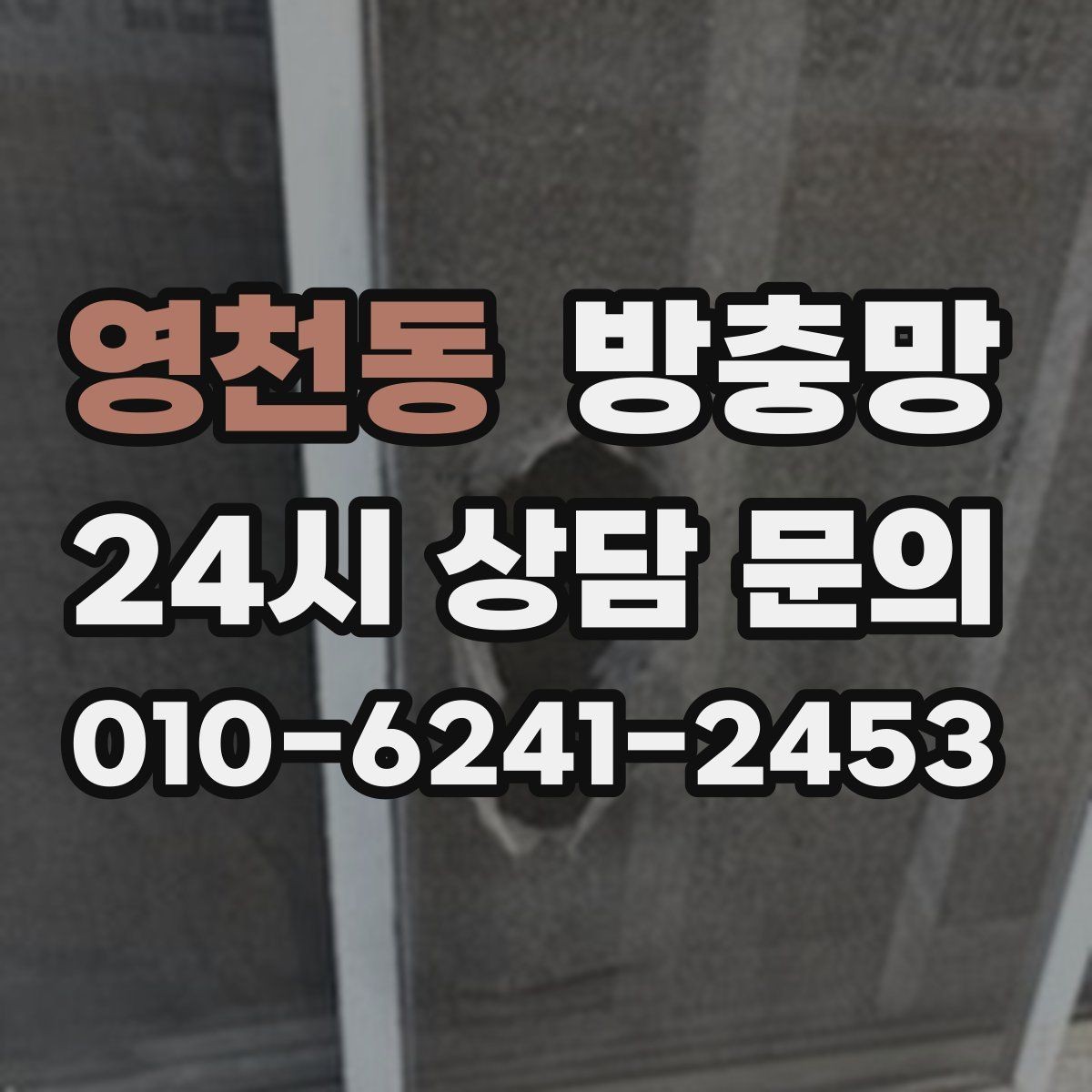 영천동 방충망 고양이 때문에 망이 자주 찢어진다면