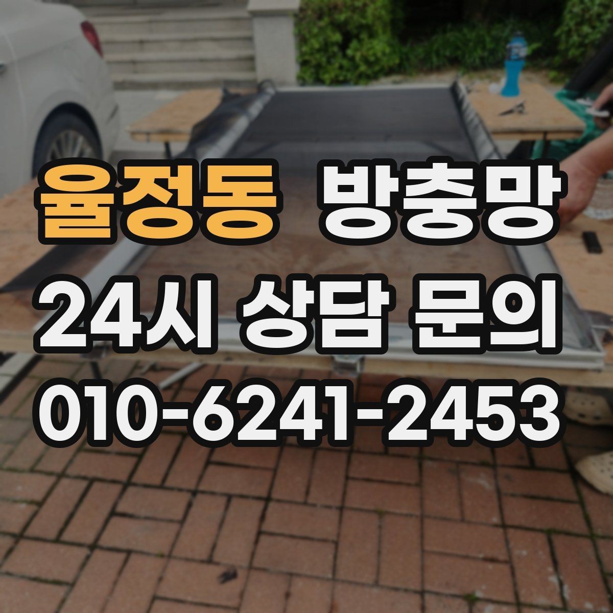 율정동 방충망 청소 후 더 벌레가 들어오는 이유는 무엇일까
